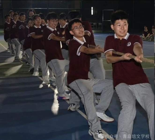 图片.png 图片.png