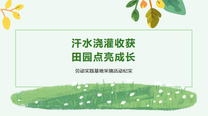 【劳动教育】汗水浇灌收获，田园点亮成长——青岛培文学校劳动实践基地采摘活动纪实